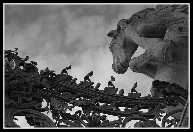 the haven gate
